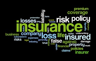 image of insurance terms as word art